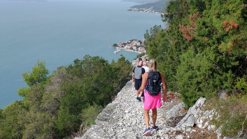 VRISJE/CYKLING/MUSIKQUIZ